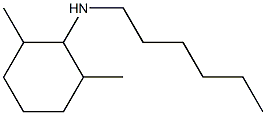 N-hexyl-2,6-dimethylcyclohexan-1-amine Struktur