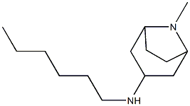 N-hexyl-8-methyl-8-azabicyclo[3.2.1]octan-3-amine Struktur