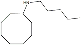 N-pentylcyclooctanamine Struktur