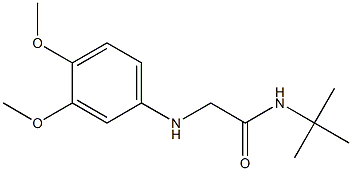 N-tert-butyl-2-[(3,4-dimethoxyphenyl)amino]acetamide Struktur