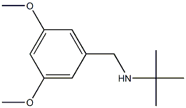 tert-butyl[(3,5-dimethoxyphenyl)methyl]amine Struktur