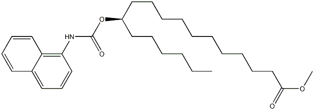 [R,(-)]-12-(1-Naphtylaminocarbonyloxy)stearic acid methyl ester Struktur