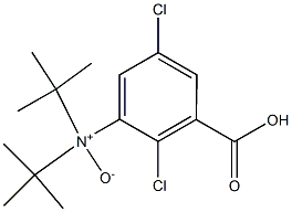 Di(1,1-dimethylethyl)amineN-oxide Struktur