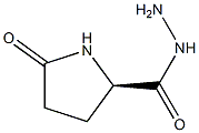 (2R)-5-Oxopyrrolidine-2-carbohydrazide Struktur