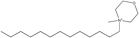 4-Methyl-4-tridecylmorpholinium Struktur