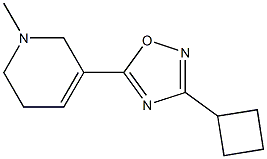 3-Cyclobutyl-5-[(1,2,5,6-tetrahydro-1-methylpyridin)-3-yl]-1,2,4-oxadiazole Struktur