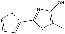 5-Methyl-2-(2-thienyl)thiazol-4-ol Struktur