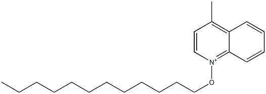 4-Methyl-1-dodecyloxyquinolinium Struktur