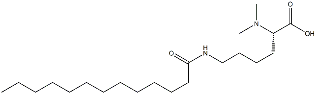 N6-Tridecanoyl-N2,N2-dimethyllysine Struktur