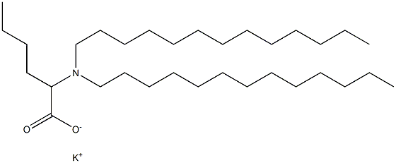 2-(Ditridecylamino)hexanoic acid potassium salt Struktur