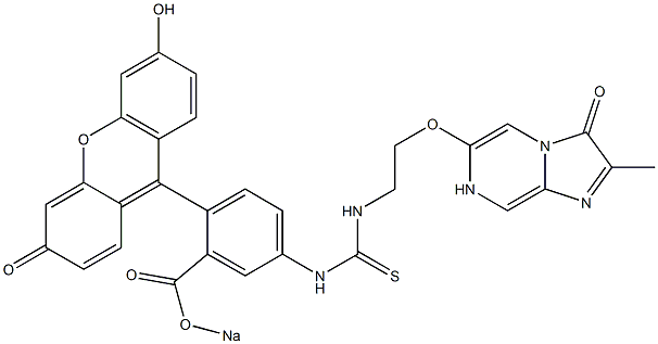 2-Methyl-6-[2-[3-[3-sodiooxycarbonyl-4-(6-hydroxy-3-oxo-3H-xanthen-9-yl)phenyl]thioureido]ethoxy]-3,7-dihydroimidazo[1,2-a]pyrazin-3-one Struktur