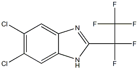 5,6-Dichloro-2-(pentafluoroethyl)-1H-benzimidazole Struktur