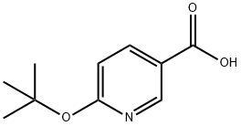 6-(tert-butoxy)pyridine-3-carboxylic acid Struktur