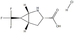 (1R,3S,5R,6R)-6-(TRIFLUOROMETHYL)-2-AZABICYCLO[3.1.0]HEXANE-3-CARBOXYLIC ACID HYDROCHLORIDE Struktur