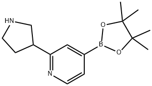 4-(4,4,5,5-tetraMethyl-1,3,2-dioxaborolan-2-yl)-2-(pyrrolidin-3-yl)pyridine Struktur