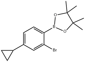 2-(2-bromo-4-cyclopropylphenyl)-4,4,5,5-tetramethyl-1,3,2-dioxaborolane Struktur