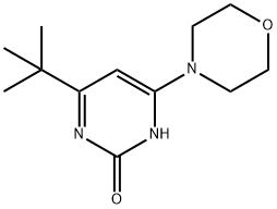 2-hydroxy-4-morpholino-6-(tert-butyl)pyrimidine Struktur