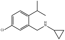 N-{[5-chloro-2-(propan-2-yl)phenyl]methyl}cyclopropanamine Struktur