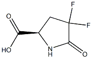 (R)-4,4-difluoro-5-oxopyrrolidine-2-carboxylic acid Struktur