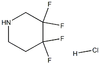 3,3,4,4-tetrafluoropiperidine hydrochloride Struktur