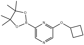 2-cyclobutoxy-6-(4,4,5,5-tetramethyl-1,3,2-dioxaborolan-2-yl)pyrazine Struktur