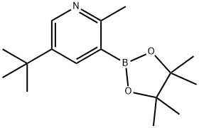 2-Methyl-5-(tert-butyl)pyridine-3-boronic acid pinacol ester Struktur