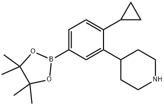 4-(2-cyclopropyl-5-(4,4,5,5-tetramethyl-1,3,2-dioxaborolan-2-yl)phenyl)piperidine Struktur