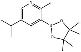 2-Methyl-5-(iso-propyl)pyridine-3-boronic acid pinacol ester Struktur