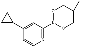 4-Cyclopropylpyridine-2-boronic acid neopentylglycol ester Struktur