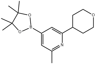 2-methyl-6-(tetrahydro-2H-pyran-4-yl)-4-(4,4,5,5-tetramethyl-1,3,2-dioxaborolan-2-yl)pyridine Struktur