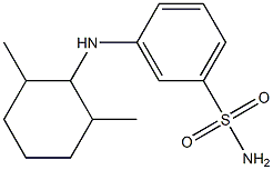 3-[(2,6-dimethylcyclohexyl)amino]benzene-1-sulfonamide Struktur