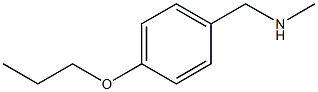 methyl[(4-propoxyphenyl)methyl]amine Struktur