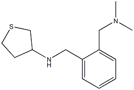 N-({2-[(dimethylamino)methyl]phenyl}methyl)thiolan-3-amine Struktur