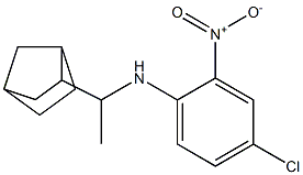 N-(1-{bicyclo[2.2.1]heptan-2-yl}ethyl)-4-chloro-2-nitroaniline Struktur