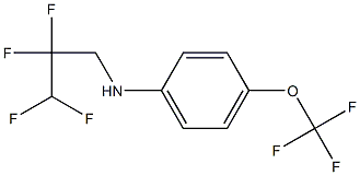 N-(2,2,3,3-tetrafluoropropyl)-4-(trifluoromethoxy)aniline Struktur