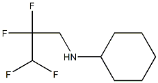 N-(2,2,3,3-tetrafluoropropyl)cyclohexanamine Struktur