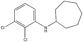 N-(2,3-dichlorophenyl)cycloheptanamine Struktur