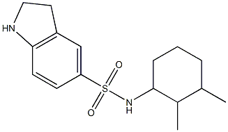 N-(2,3-dimethylcyclohexyl)-2,3-dihydro-1H-indole-5-sulfonamide Struktur