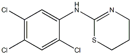 N-(2,4,5-trichlorophenyl)-5,6-dihydro-4H-1,3-thiazin-2-amine Struktur