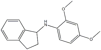 N-(2,4-dimethoxyphenyl)-2,3-dihydro-1H-inden-1-amine Struktur