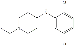 N-(2,5-dichlorophenyl)-1-(propan-2-yl)piperidin-4-amine Struktur