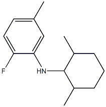 N-(2,6-dimethylcyclohexyl)-2-fluoro-5-methylaniline Struktur