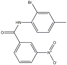 N-(2-bromo-4-methylphenyl)-3-nitrobenzamide Struktur