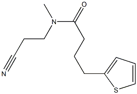 N-(2-cyanoethyl)-N-methyl-4-(thiophen-2-yl)butanamide Struktur