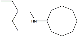 N-(2-ethylbutyl)cyclooctanamine Struktur