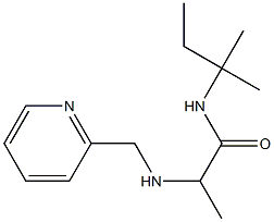 N-(2-methylbutan-2-yl)-2-[(pyridin-2-ylmethyl)amino]propanamide Struktur