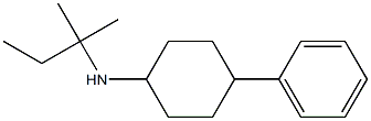 N-(2-methylbutan-2-yl)-4-phenylcyclohexan-1-amine Struktur