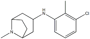 N-(3-chloro-2-methylphenyl)-8-methyl-8-azabicyclo[3.2.1]octan-3-amine Struktur