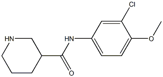 N-(3-chloro-4-methoxyphenyl)piperidine-3-carboxamide Struktur