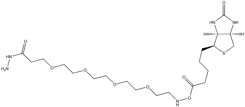 15-Biotinamino-4,7,10,13-tetraoxa-pentadecanoyl hydrazide Struktur